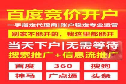 SEM推广公司案例：打造行业领军品牌